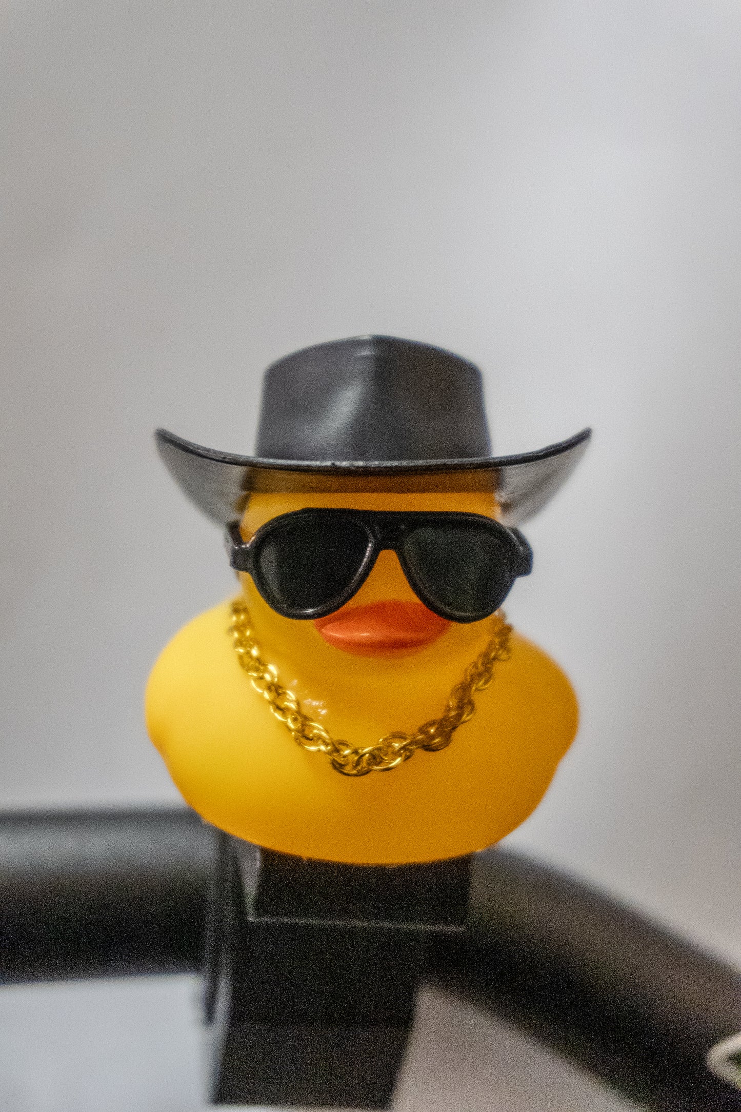 Bar Buddy | Dr. Billy